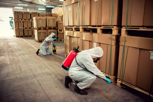 Best Mosquito Control Services  in West Clarkston Highland, WA