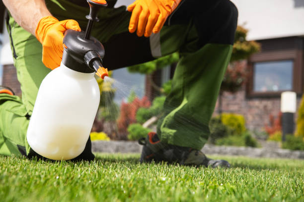 Best Residential Pest Control  in West Clarkston Highland, WA