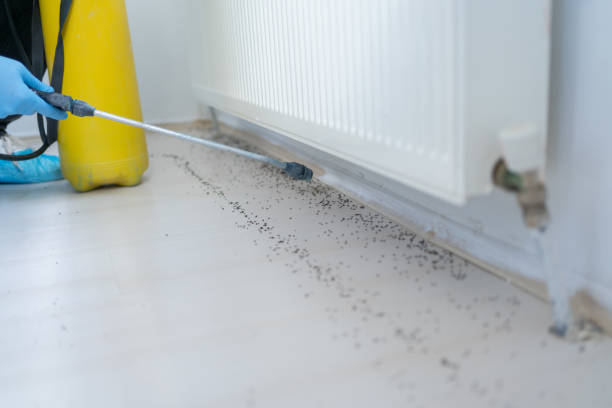 Best Best Pest Control Companies  in West Clarkston Highland, WA